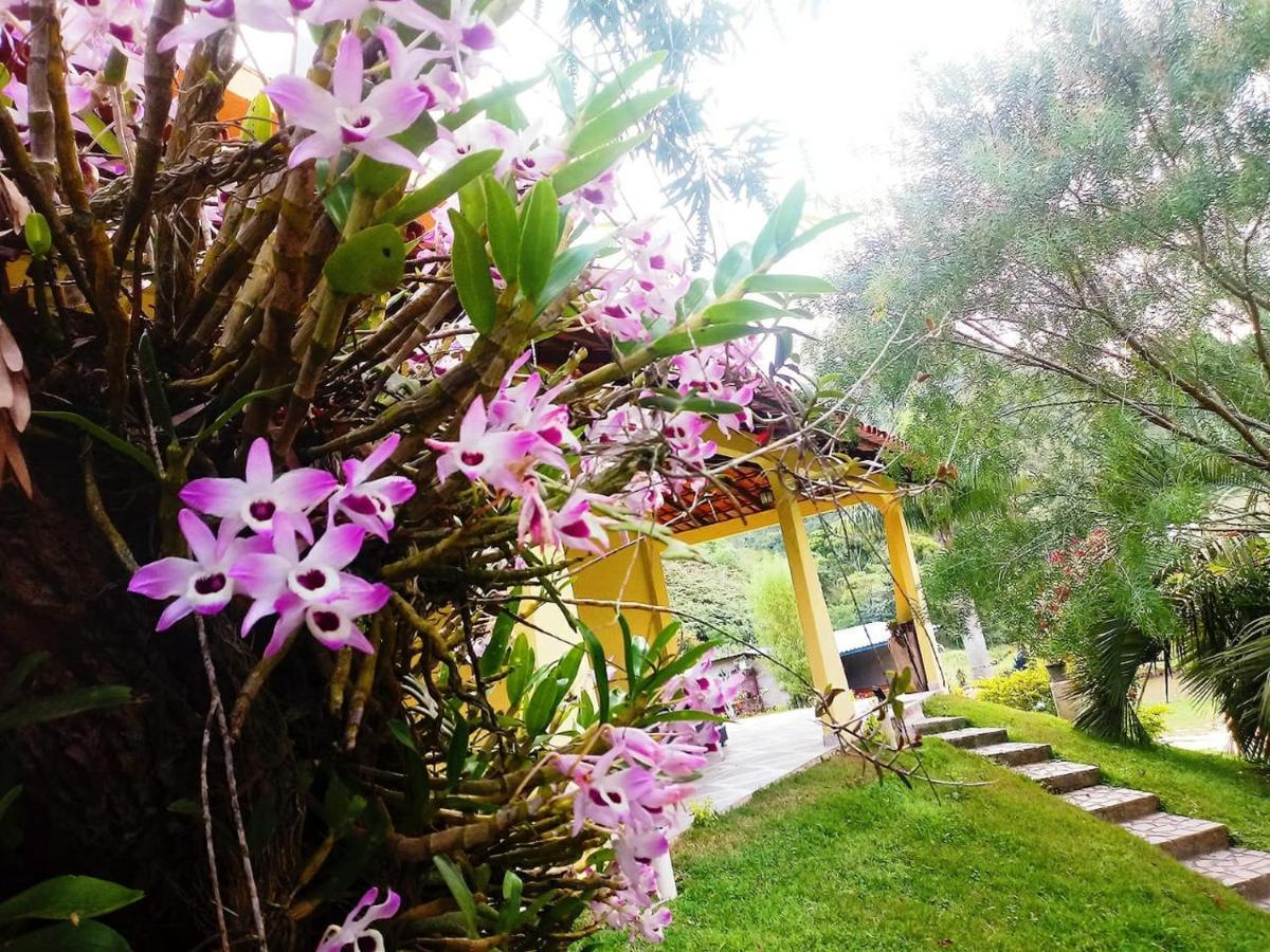 Casa Com Flores بيدرا أزول المظهر الخارجي الصورة