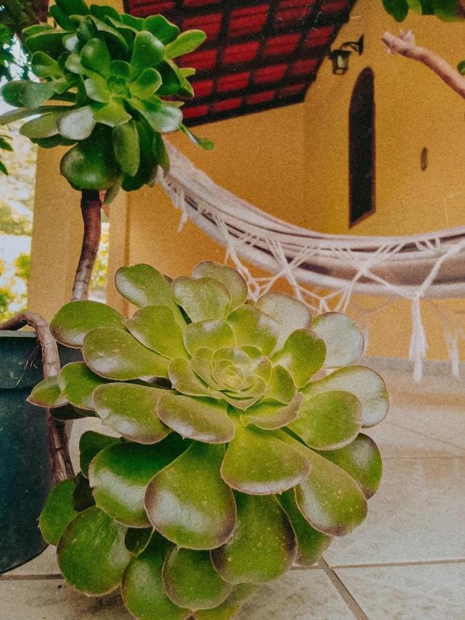 Casa Com Flores بيدرا أزول المظهر الخارجي الصورة